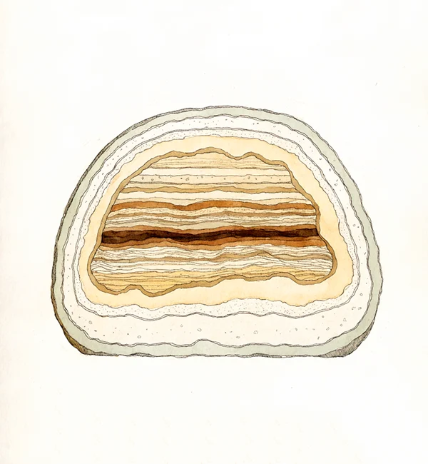 Ilustração botânica de mineral estratificado em camadas