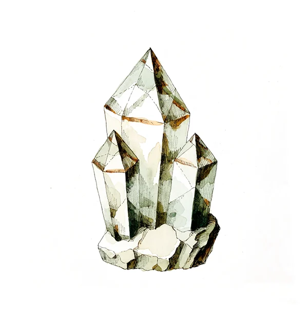 Ilustração botânica de cristal de quartzo