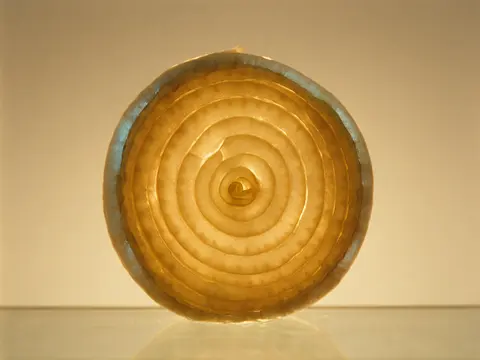 Cebola em corte